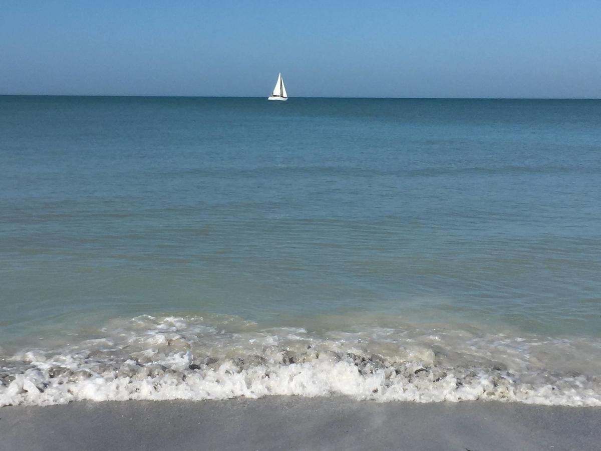 Intercoastal Beach Suite Clearwater Zewnętrze zdjęcie